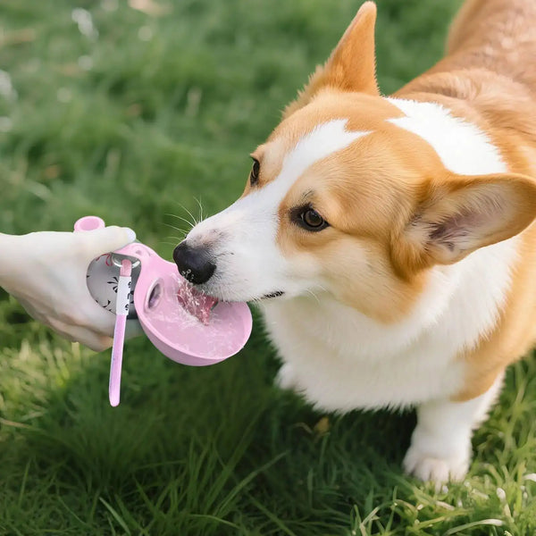 2-in-1-Portable-Dog-Water-Bottle-285ML-Stainless-Steel-Silicon-Leak-Proof-Compact-Dog-Outside.jpg